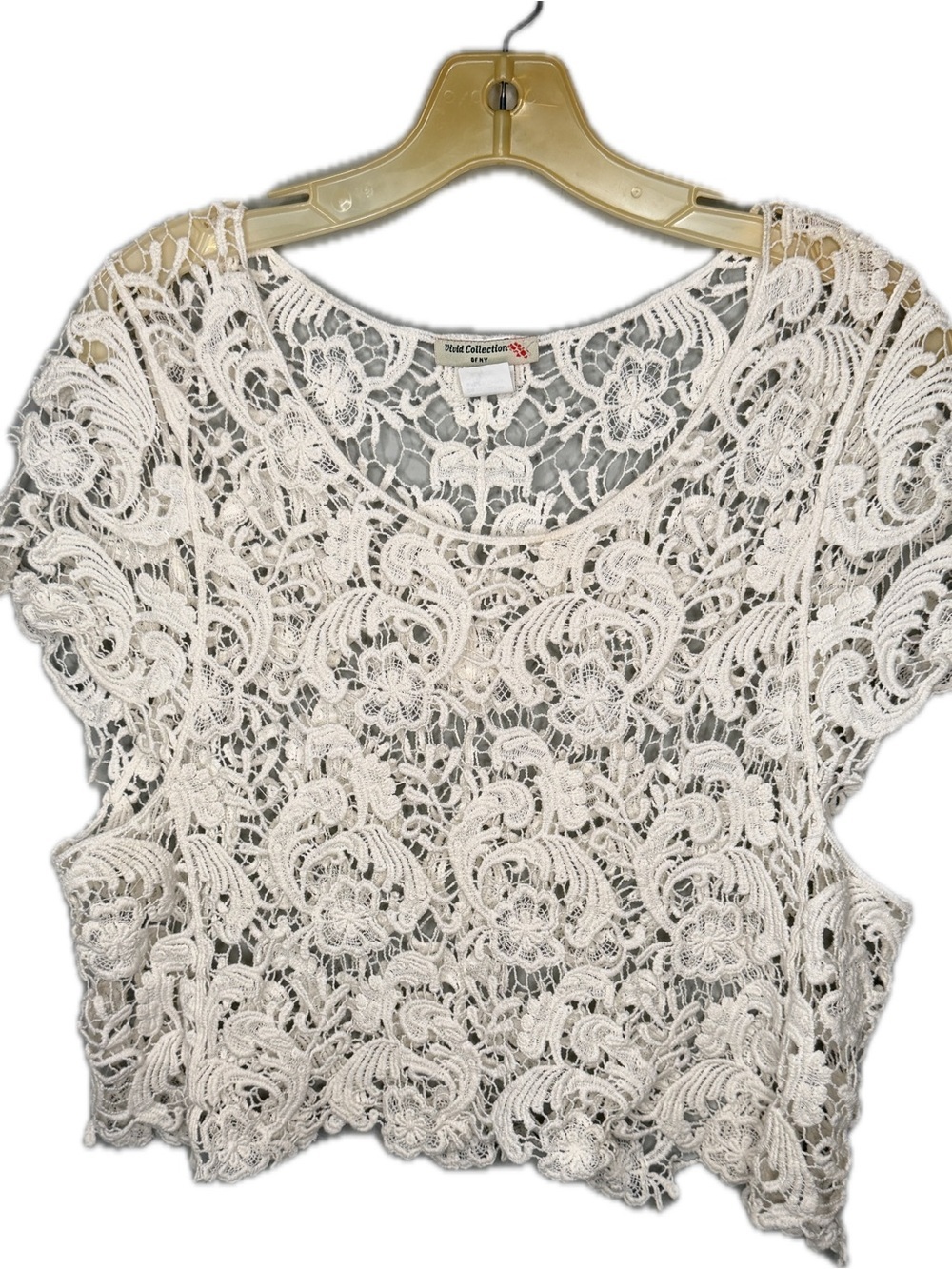 Vivid Collection of New York Sheer Lace Top